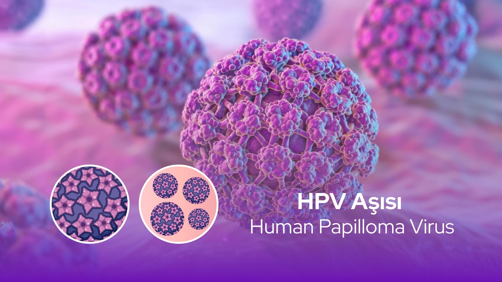 HPV Aşısı